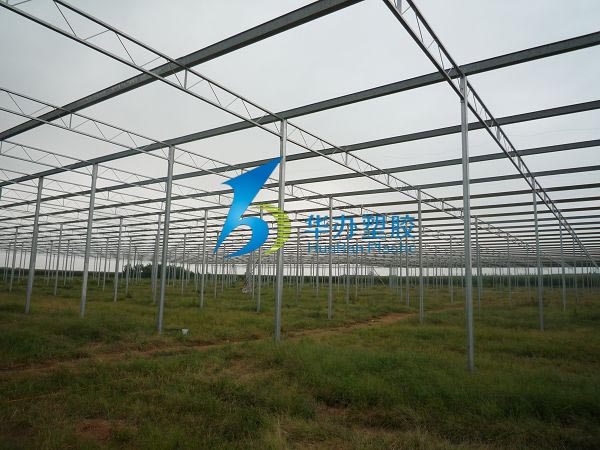 連云港東?？h雙店鎮(zhèn)溫室大棚PC陽光板